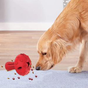 中型犬用おもちゃ