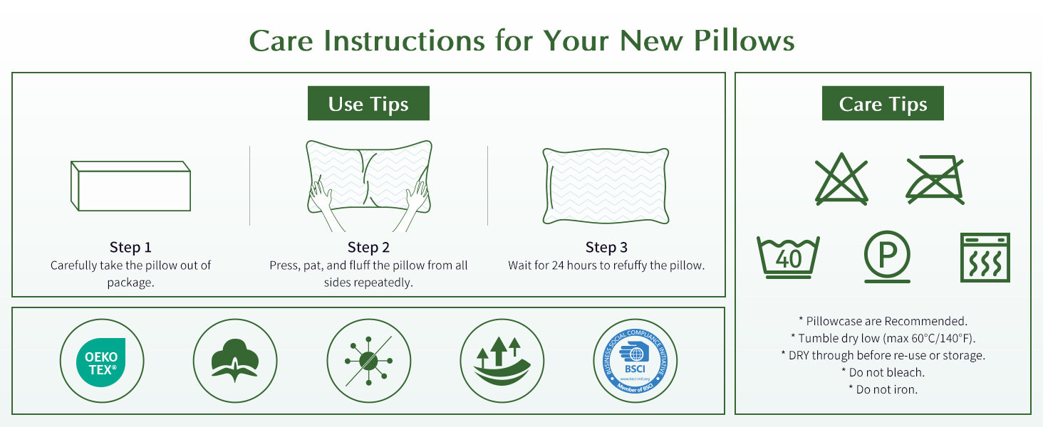 queen pillows set of 2