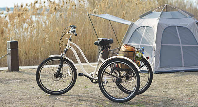 adult tricycle