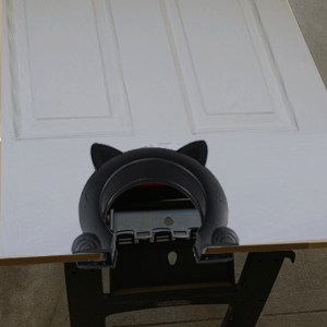 interior cat door