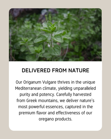 Wild Oregano Oil Organic - 100% Pure Undiluted Organic Wild Oregano Oil with 86-90% Carvacrol, Immune Support - Plant-Based, Herbal Supplement - Vegan, Non GMO, Gluten Free, 1fl.oz/30ml 14 2