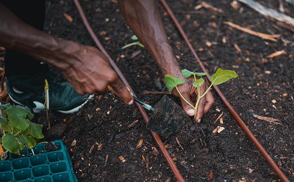 100 Natural Mint Compost by Heirloom Roses 7 Quarts