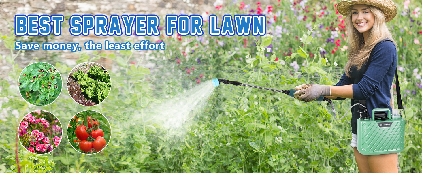 Battery Powered Sprayer