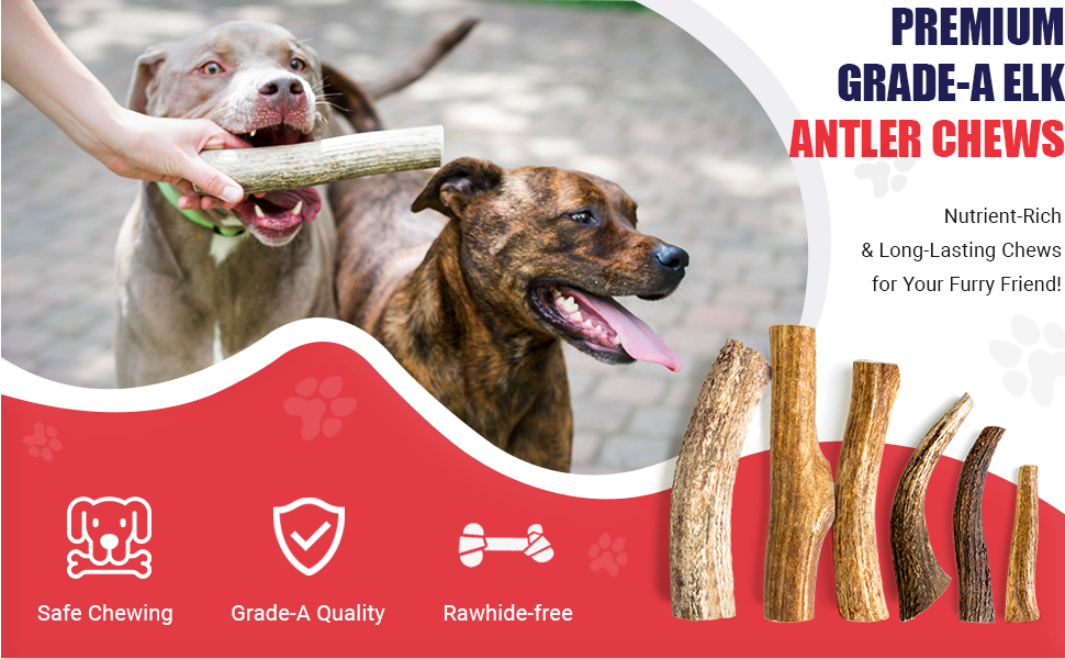 Devil Dog Pet Co Antler Dog Chew Premium Elk Antlers for