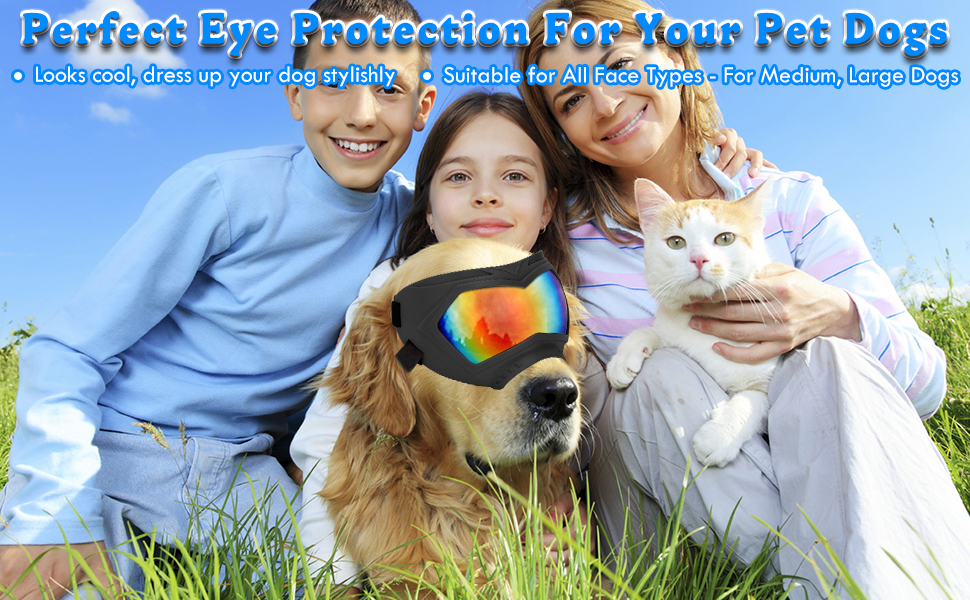 Looks cool, dress up your dog stylishly