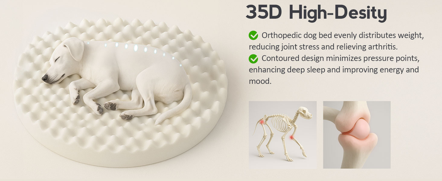 orthopedic dog bed