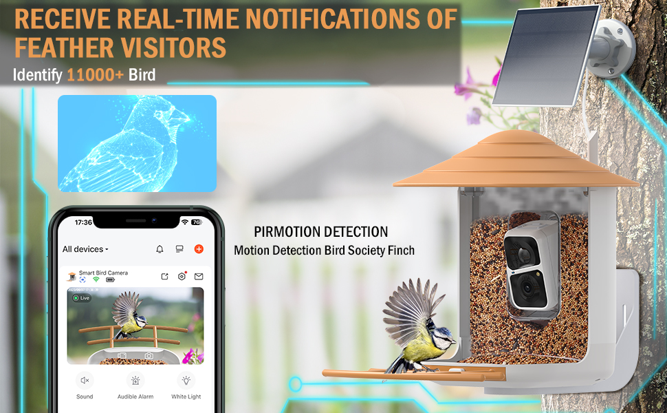 Smart Bird Feeder with Camera, Birdfeeders with Solar