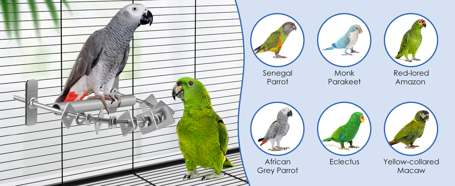 parrot perch