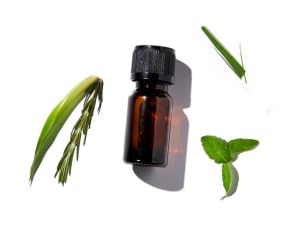 Stimulating scents ingredients