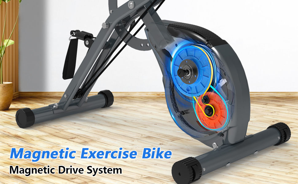 Fitness Bike