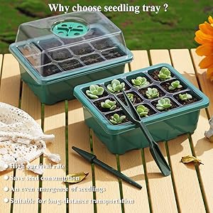 Plant Tray