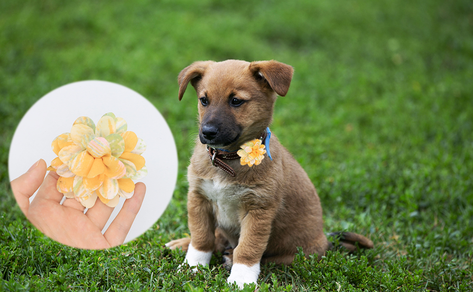 DORUI 60 PCS Dog Collar Flowers, Pet Flower Bowtie, Three