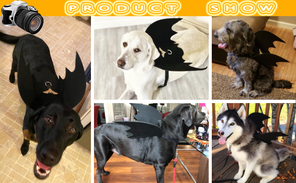 LKEX Dog Bat Wings, Pet Halloween Costume for Medium Large