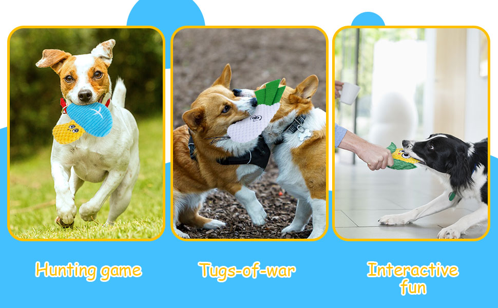 Dog Toys No Stuffing, Dog Squeaky Toys, 8 Pack Crinkle