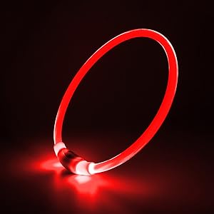LED Dog Collar