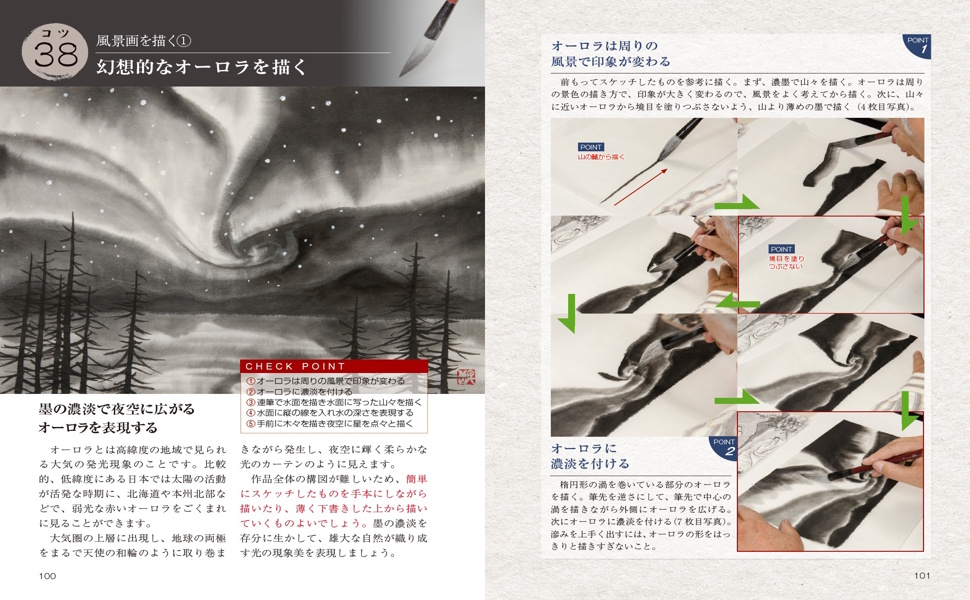 Amazon.co.jp: 水墨画 表現を磨く50のコツ 新版 基本から特殊技法まで