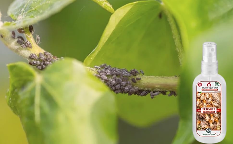 Large manufacture image 4