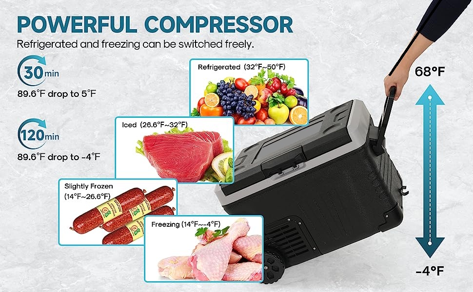 LEONARD USA Car Fridge 50 L with Compressor 12 Volt, Vehicle