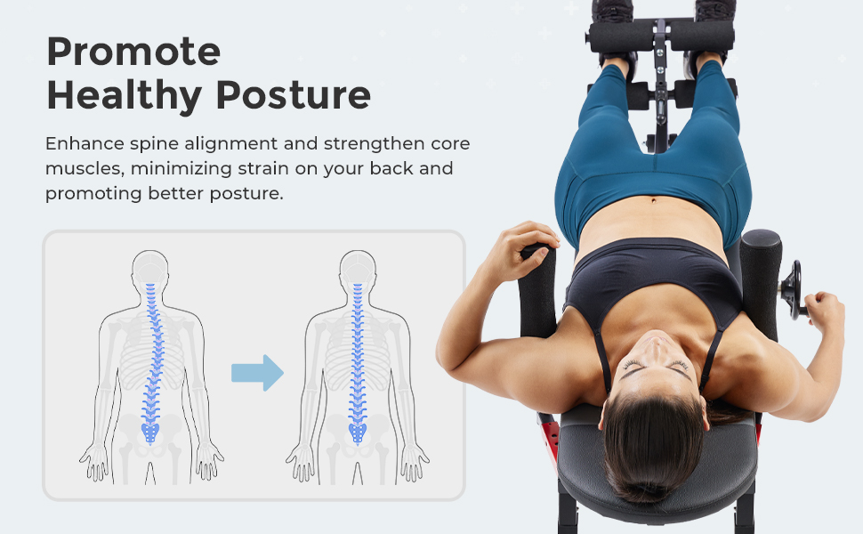 Sunny Health & Fitness Full Body Inversion Traction for