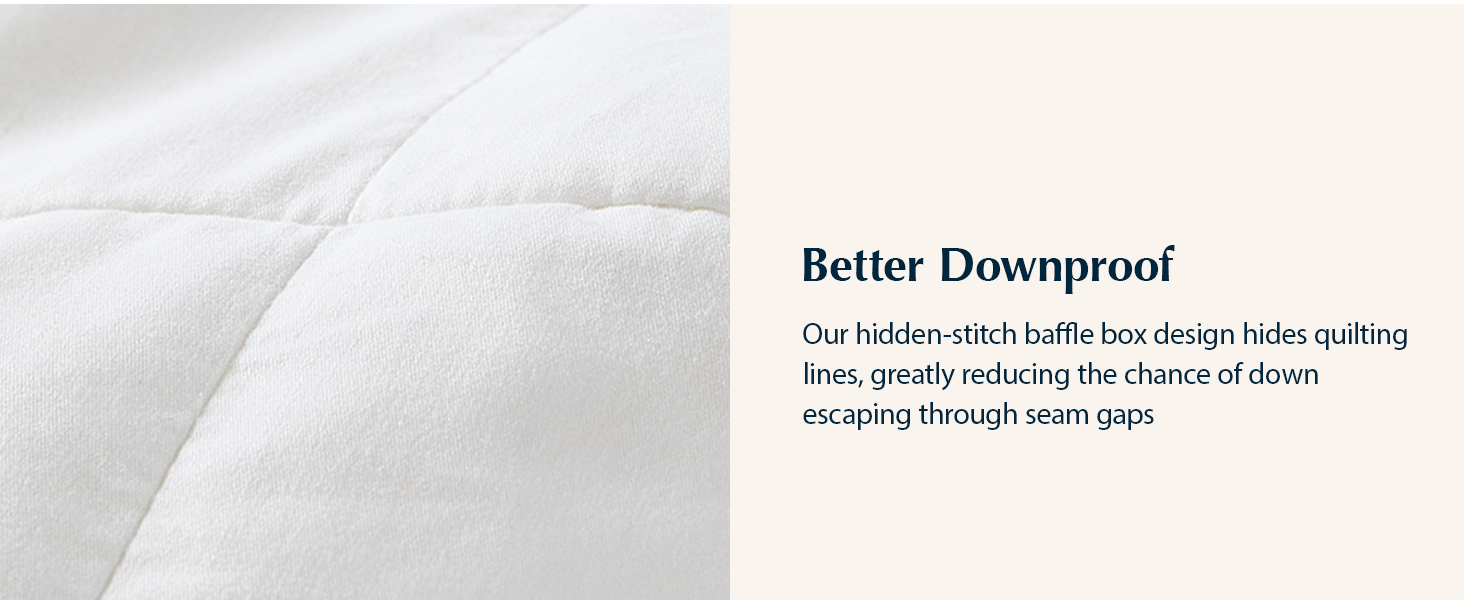 Pacific Coast Goose Feather Down Fiber Comforters Queen Size, Ultra-Soft and Breathable All Season Bedding, 8 Corner & C 40663c9c A087 4d6f 8f90 C20bd8d9ec32. CR0,0,1464,600 PT0 SX1464 V1