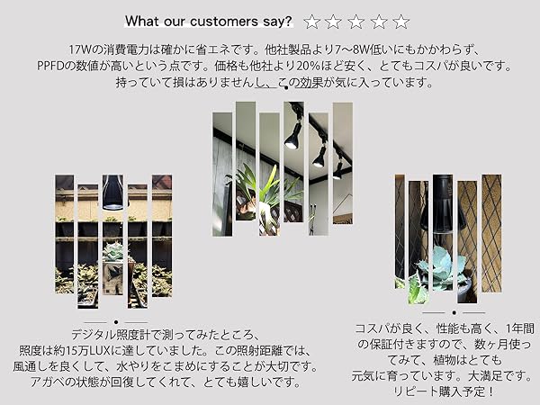 い*こ様 Niwuno植物育成LEDライト Aurora N95 Pro 白色 Amazon