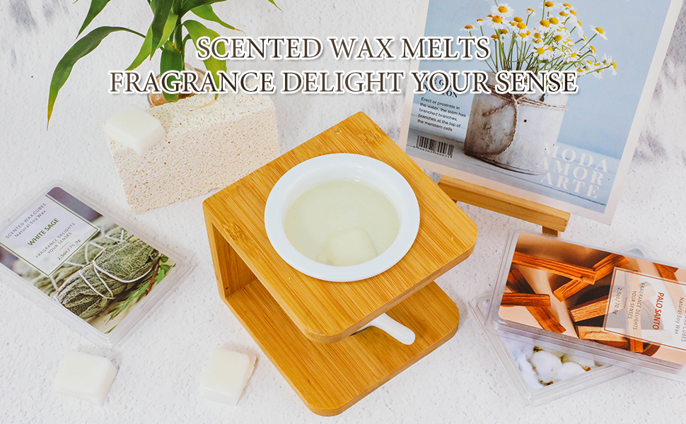 LASENTEUR Wax Melts, Wax Melt Scented, Natural Soy Wax Cubes, Variety