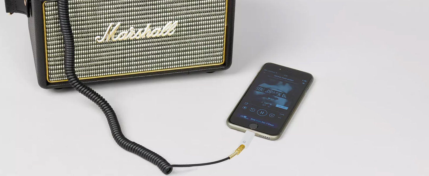 Public Transfer 3.5 Mother Cracked Version 