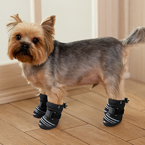 dog shoes
