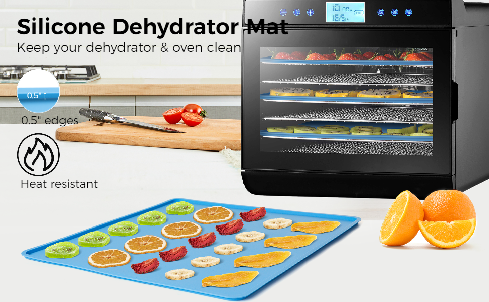 4PCS Silicone Dehydrator Sheets with Edge, Fruit Leather