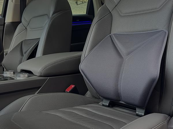 Amazon.co.jp: EAVY(イービー) ランバーサポート 骨盤矯正 姿勢