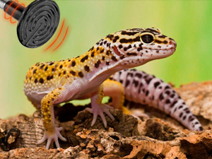 Ceramic Heat Emitter, Reptile Heat Bulbs