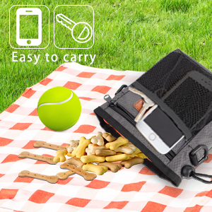 Portable dog training bag