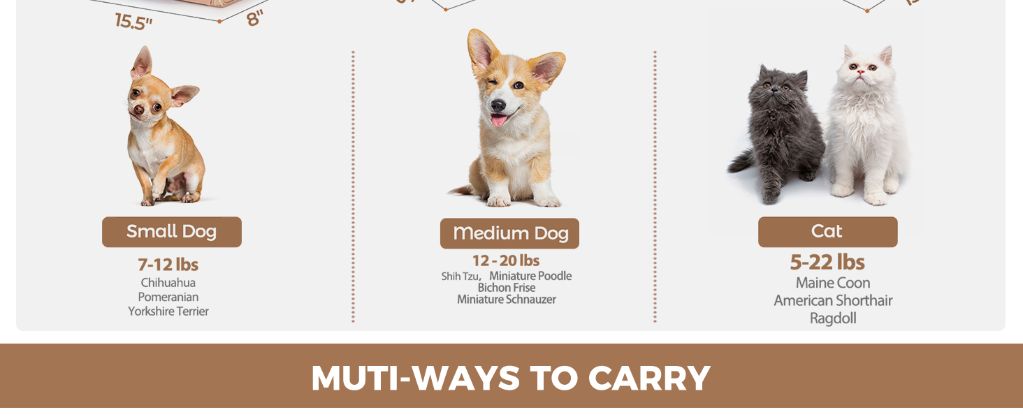 Foldable Dog Carrier Backpack