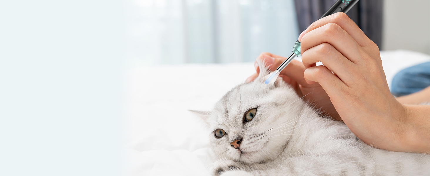 ear wax removal