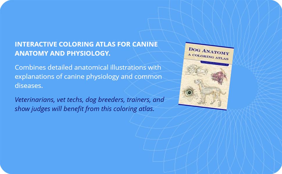 Blurb and description for Dog Anatomy
