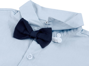 Bow Tie
