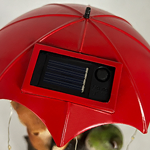 Housewarming Garden Gift