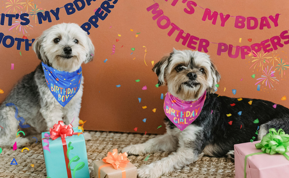Dog Birthday Bandana Banner Set Pink & Blue
