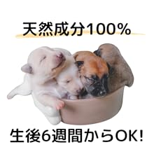 Amazon | [PUPPYPOTION] 犬用 シャンプー 天然成分100