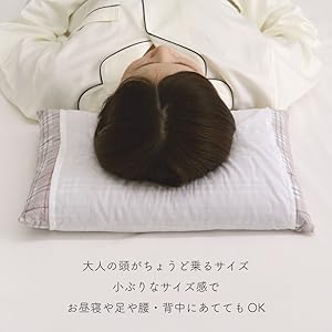 三河木綿シルク綿巻そば殻枕２個+枕カバー2枚セット(内閣総理大臣賞受賞)天然素材 Amazon｜D's collection 柄おまかせそばがら枕 がわサイズ32