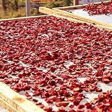 hawthorn,hawthorn berry tea,Hawthorn Fruit Tea