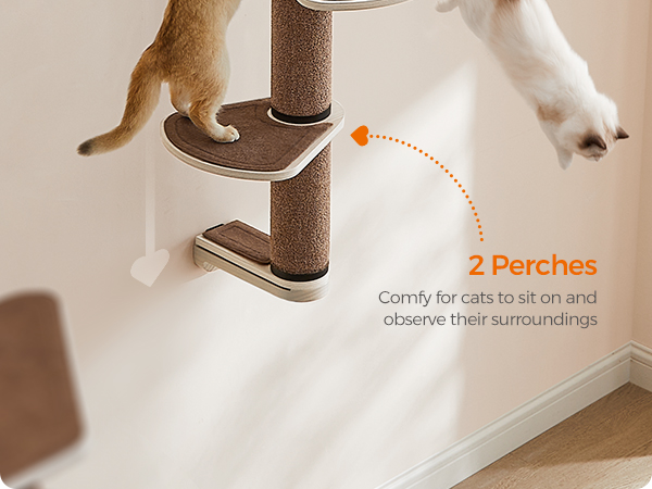 Amazon.com : Feandrea Clickat Collection - No.006 Cat Tree