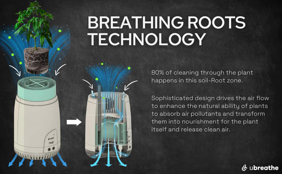 Breathing Roots Technology
