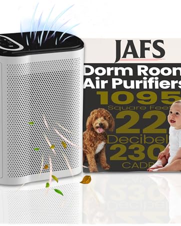 Amazon.com: JAFS Air Purifier with H13 Hepa Activated Carbon