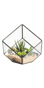 glass terrarium