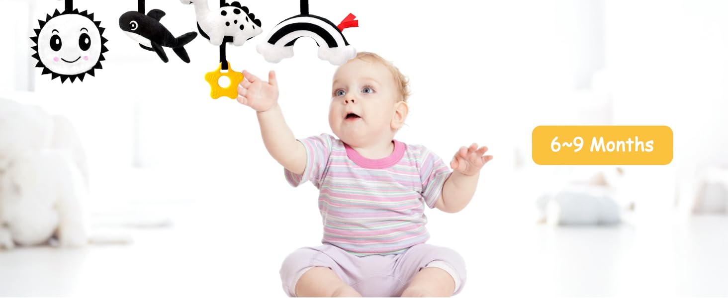 baby toys 6-12 months