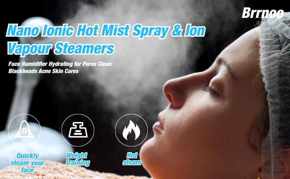 Facial Steamer
