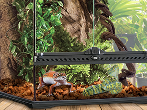 organic coconut fiber