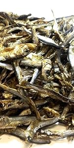 sprats