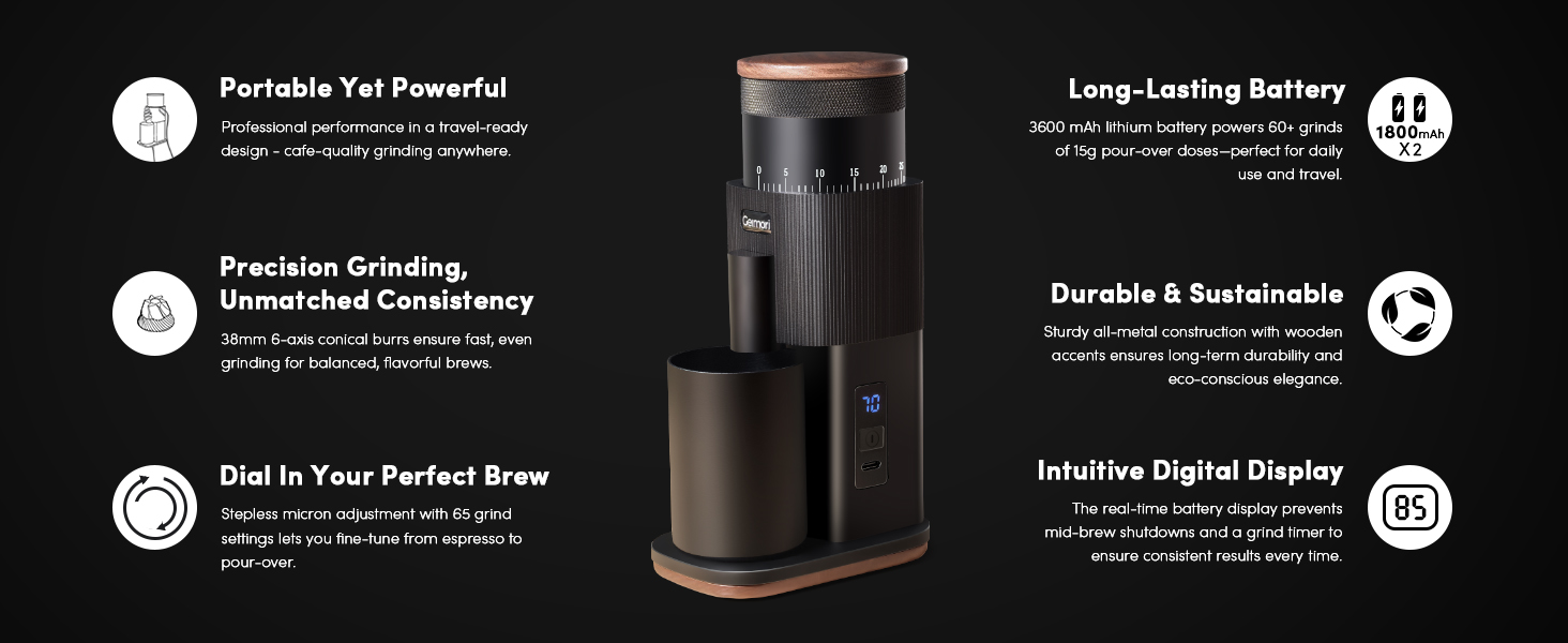 Geimori T38 coffee grinder